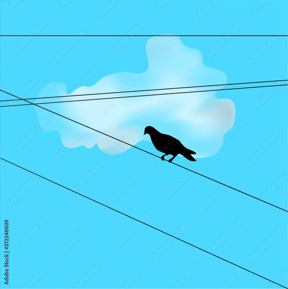 birds on wires birds on wires