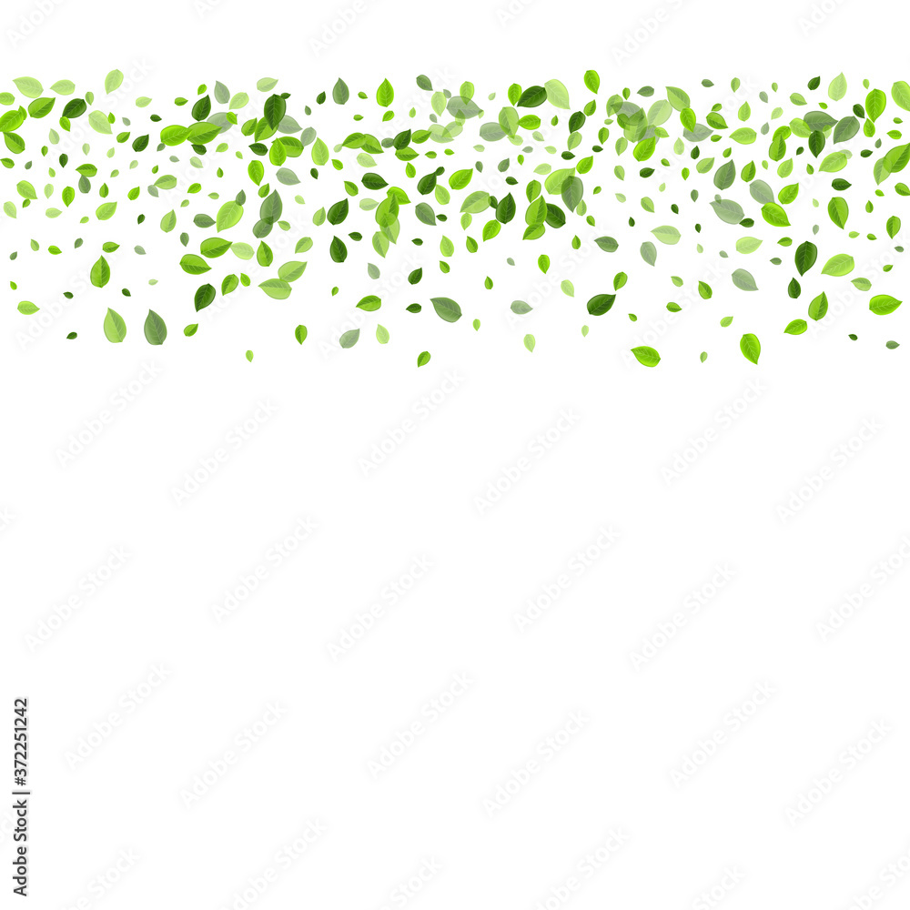 Swamp Leaves Transparent Vector Design. Motion Swamp Leaves Transparent Vector Design. Motion