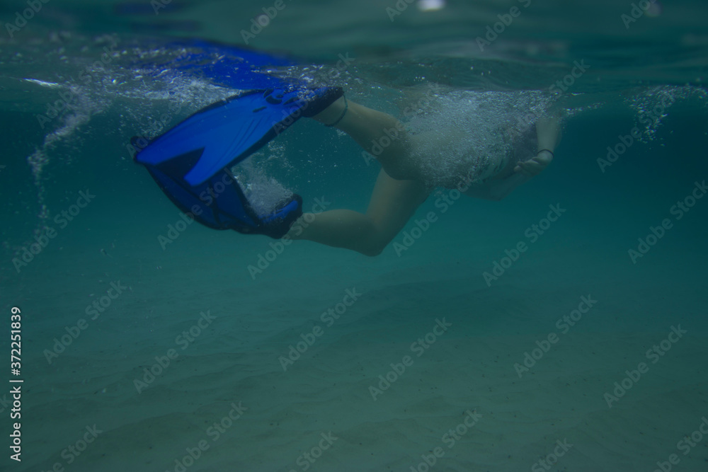 snorkelling in denmark western australia