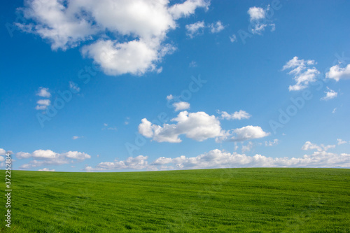 緑の草原と青空に浮かぶ雲 