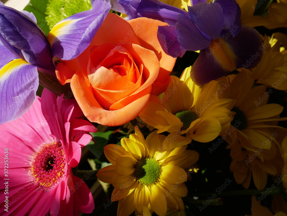 custom made wallpaper toronto digitalColourful Flower Bouquet