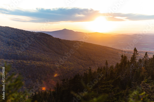 view of a sunset from uphill with bright sunlight in the forest