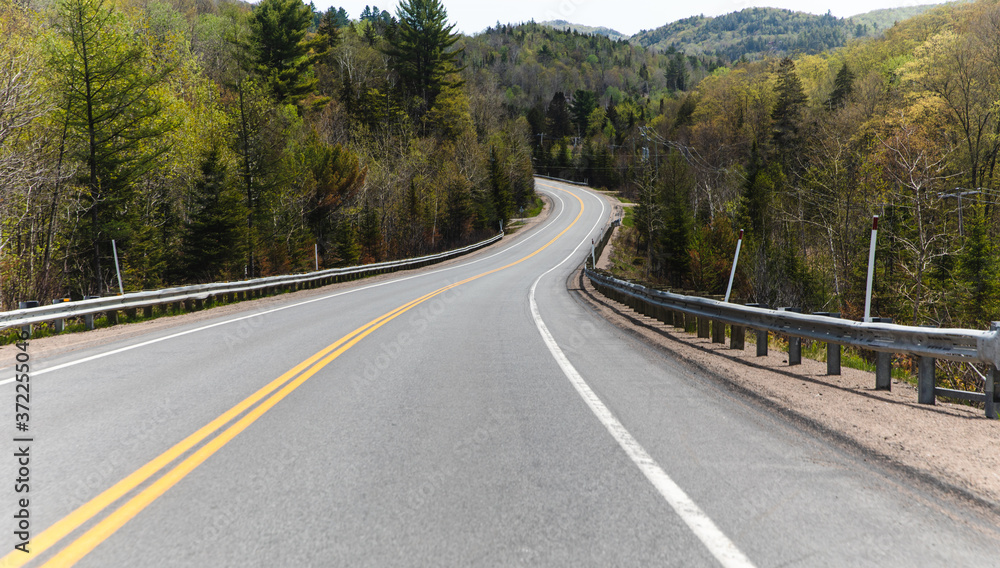 Fototapeta premium small one lane. road in summer in the countryside with a curve at the end