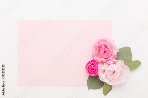 Beautiful colored ranunculus flowers on a white background. Spring greeting card.