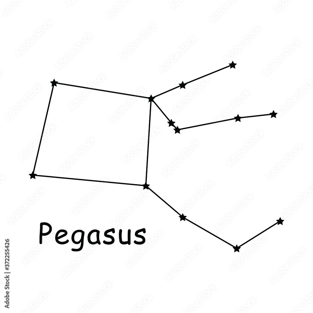 Pegasus Constellation Stars Vector Icon Pictogram with Description Text. Artwork Depicting the Greek Mythology Pegasus Constellation in the Night Sky