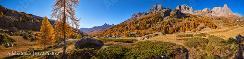The Claree Upper Valley in full Autumn colors with golden larch trees and the Cerces Massif mountain range (Roche de Crepin and Pointe des Cerces). Laval, Hautes-Alpes (05), Alps, France