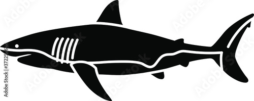 An icon illustration of a Great White Shark