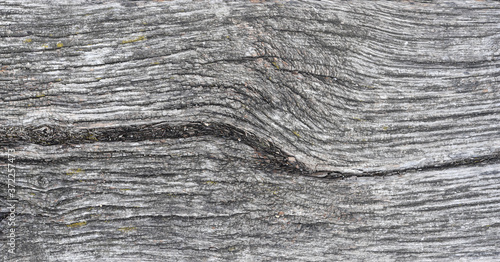 Backdrop from aged wood surface