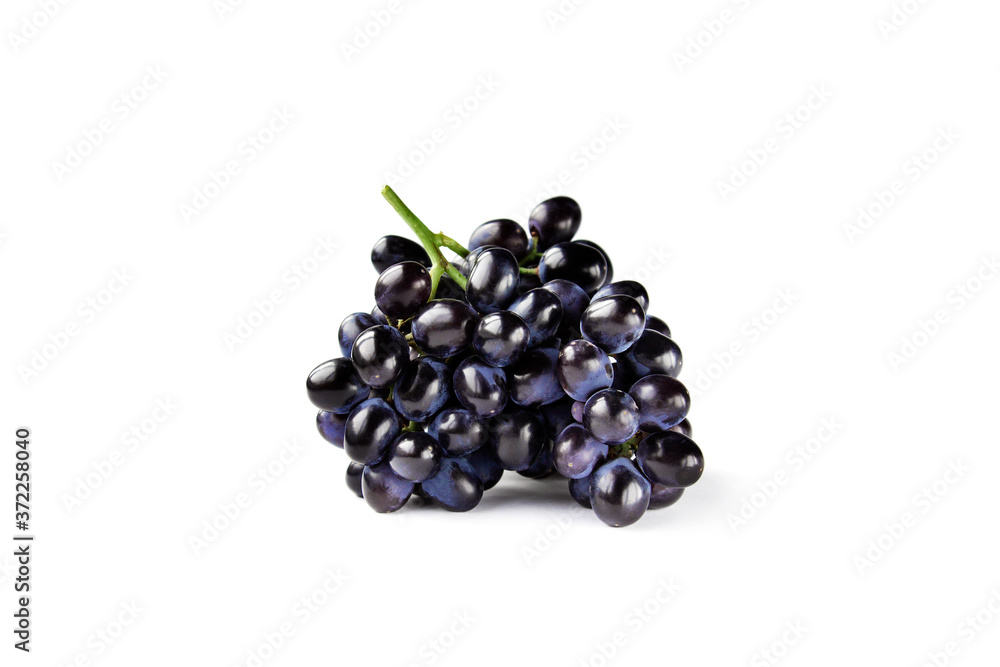 Bunch of black grapes isolated on white background Bunch of black grapes isolated on white background