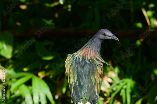 Parc des oiseaux