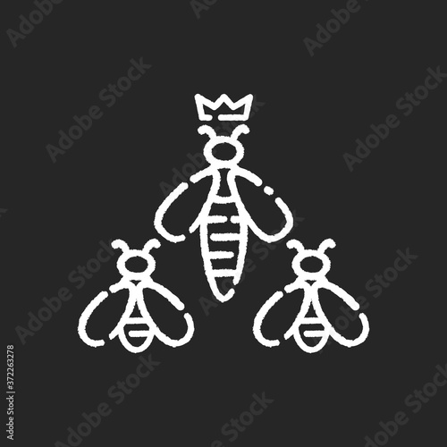 Queen bee chalk white icon on black background. Apiology, beehive hierarchy. Beekeeping, apiculture. Honeybee workers with colony queen. Flying insects isolated vector chalkboard illustration