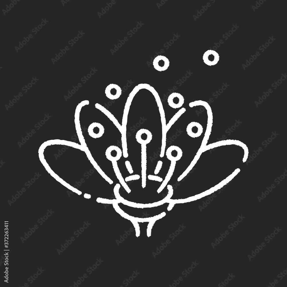 Naklejka premium Pollen chalk white icon on black background. Natural flowers reproduction. Pollination process, seasonal allergy, beekeeping. Blooming flower bud in blossom isolated vector chalkboard illustration