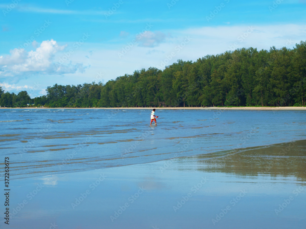 Sea bay, a man walks on water, shallow water, low tide. Beautiful view of a green forest, bright blue sky with curly clouds, calm sea, mirror-like surface of the water. Panorama, seascape.