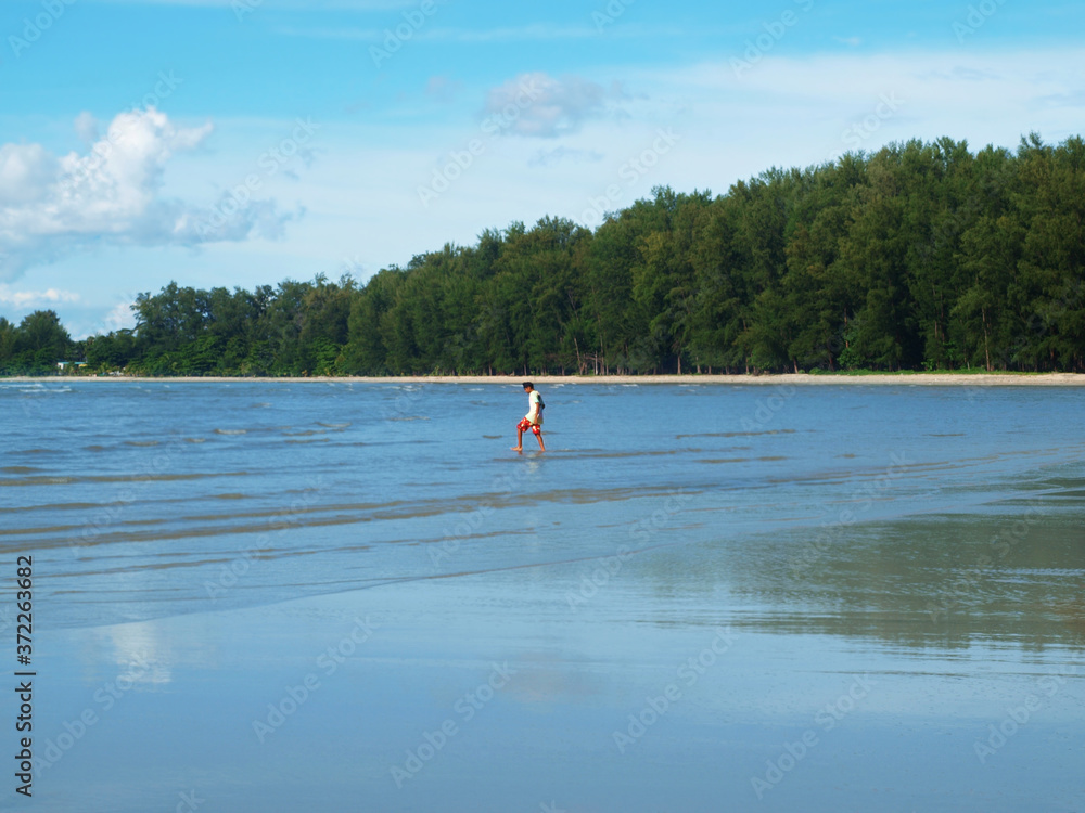 Lake, forest and boy walking on a water. Single man, shallow water. Beautiful view of a sea, ebb, trees, bright blue sky, curly clouds, surface of the water. Rural landscape. Panorama, seascape.