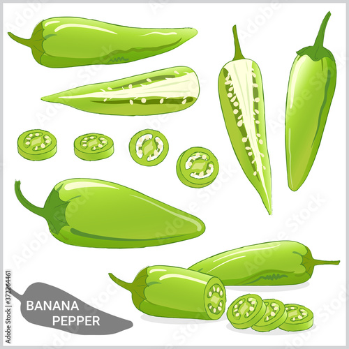 Set of banana pepper illustration in various styles vector format