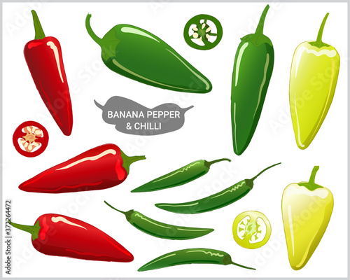 Set of banana pepper or banana chili illustration in various styles and colors; green, light green and red, vector format