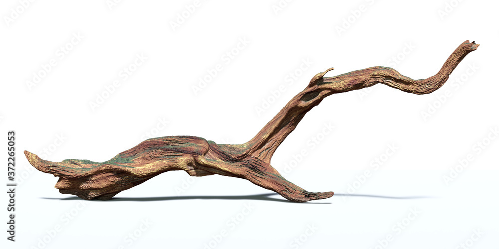 Fototapeta premium driftwood isolated on white background, aged wood