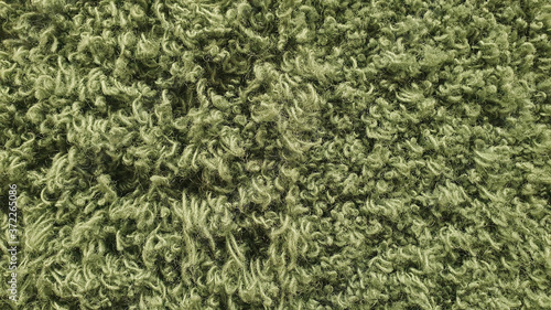 background of artificial green fur carpet. interior floor covering ,long wool ,material background.