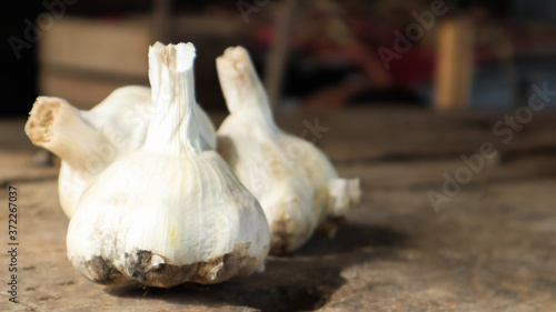 Three heads of Messidor garlic on a wooden background. This variety is high yielding, good quality, ripens early and has high yields. The main color of dry outer scales is yellowish white. photo