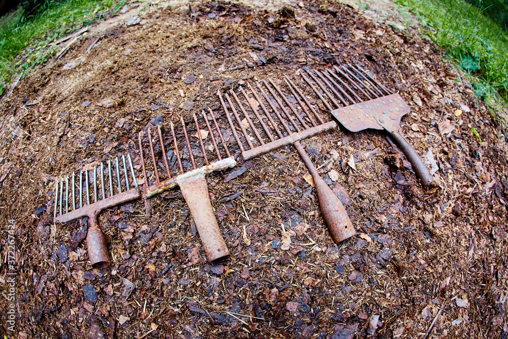 A set of ancient poaching tools for fishing - hooks and forks