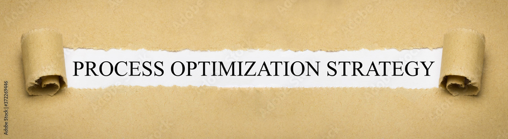 Process Optimization Strategy Process Optimization Strategy