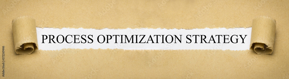 Process Optimization Strategy