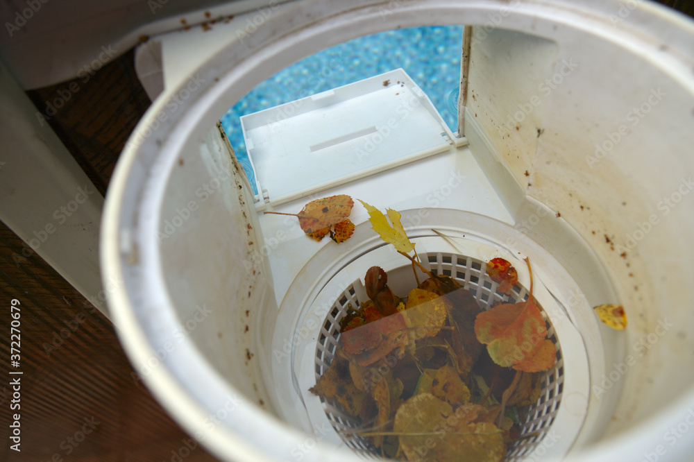 pool filter clogged with leaves Stock Photo Adobe Stock