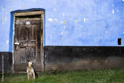 Old wooden door on a house in Viscri village from Transylvania, Romania. photo