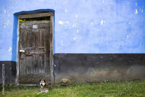 Old wooden door on a house in Viscri village from Transylvania, Romania. © erika8213