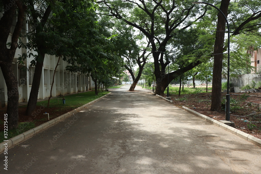 alley in the park