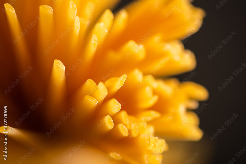 close up view of uncooked Italian spaghetti isolated on black close up view of uncooked Italian spaghetti isolated on black