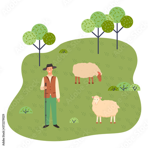 Young shepherd with a stick and sheep in a green park. Graze the sheep. Livestock. Green spaces. Lush grass and young trees, vegetation. Flora and fauna. City park. Flat vector illustration.