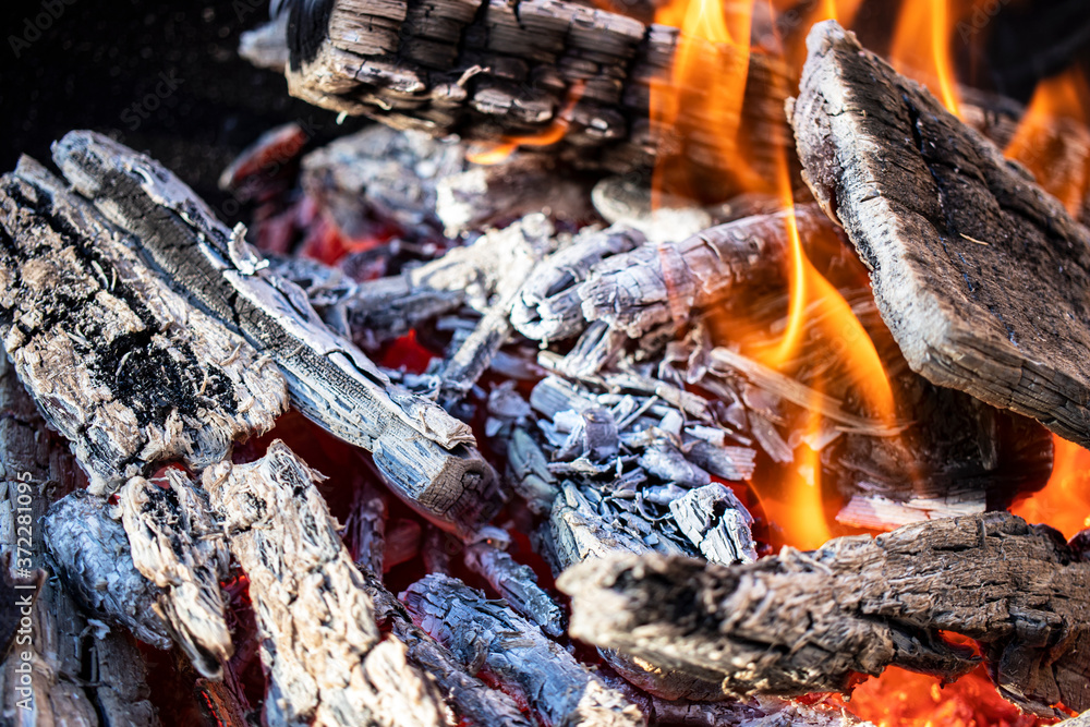 Burning firewood and coals in the grill. Close-up. Macro shooting. Burning fire. Grilling meat. The energy of fire Burning firewood and coals in the grill. Close-up. Macro shooting. Burning fire. Grilling meat. The energy of fire
