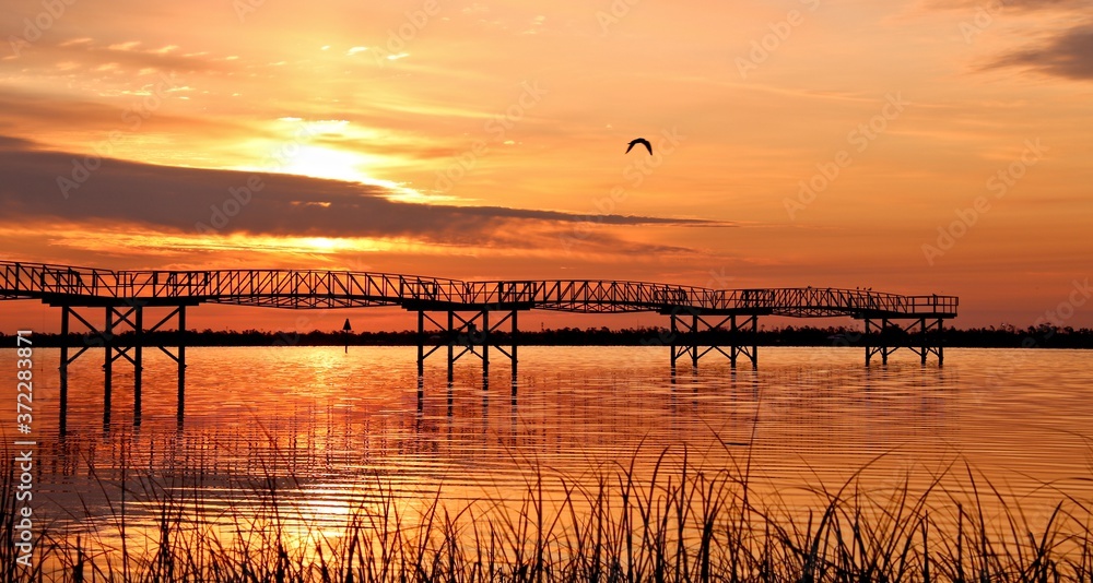 Golden Sunrise Pier with Bird Flying