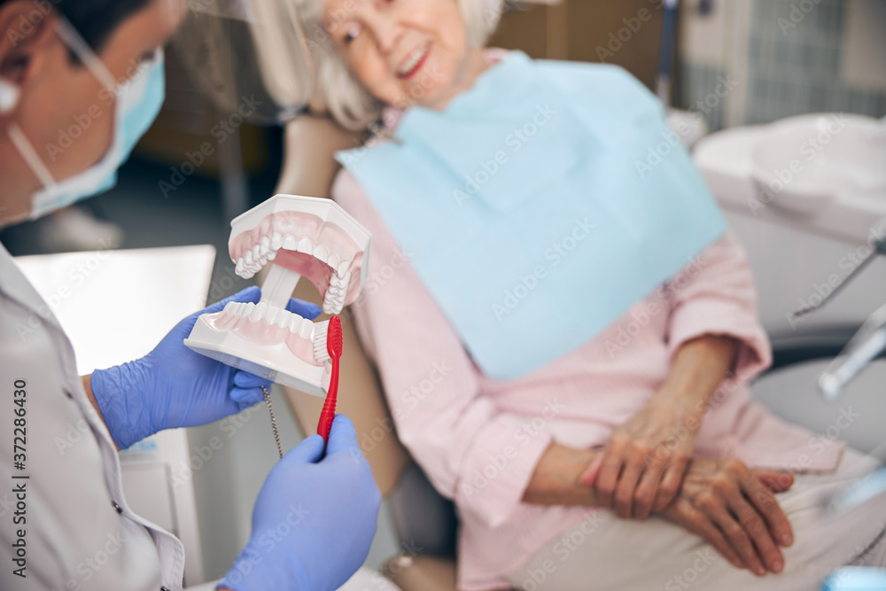 Obraz premium Dentist with denture learning how to teeth at dentists office