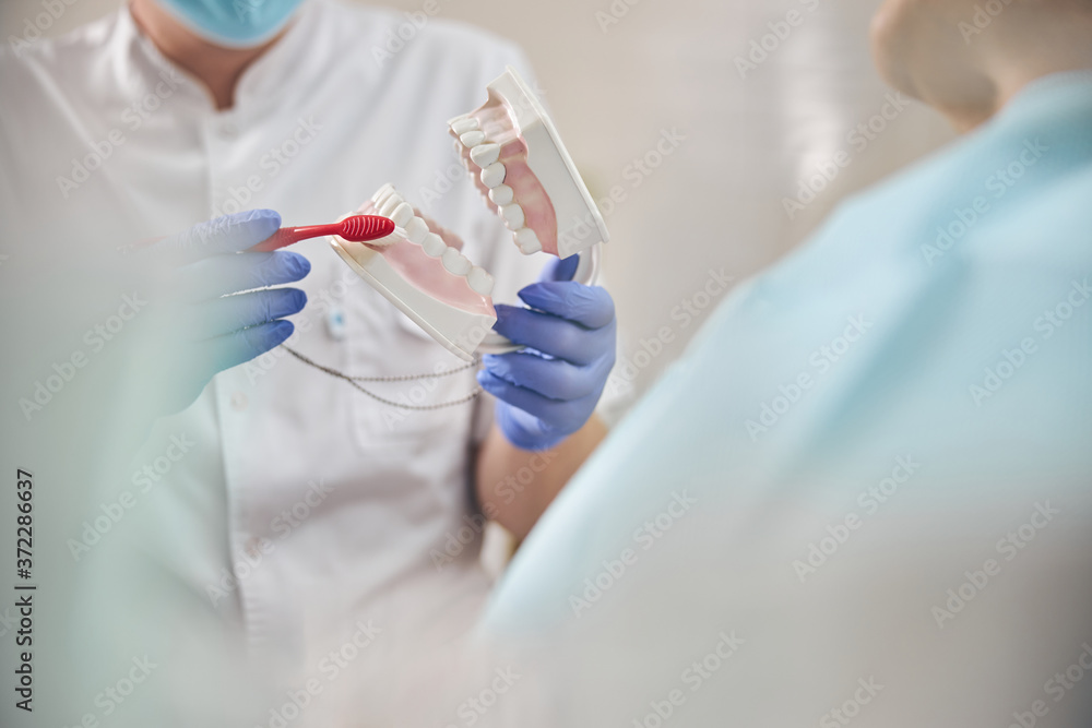 Young dentist is holding dental jaw model Young dentist is holding dental jaw model
