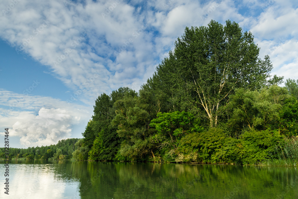 Shore with green trees in wetlands of Danube river, Slovakia