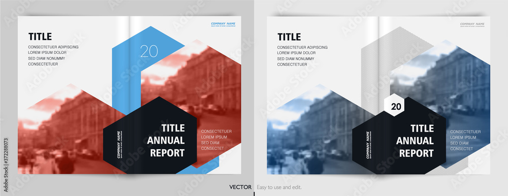 Geometric Design annual report Cover book Vector template brochures ...