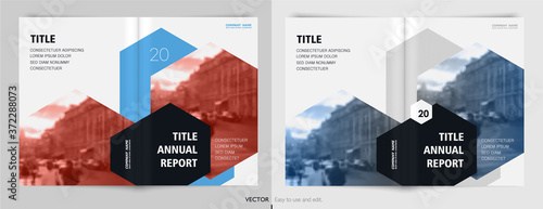 Geometric Design annual report Cover book Vector template brochures Layout Flyers, Presentations Leaflet  Magazine . Minimalistic abstract templates - stock vector