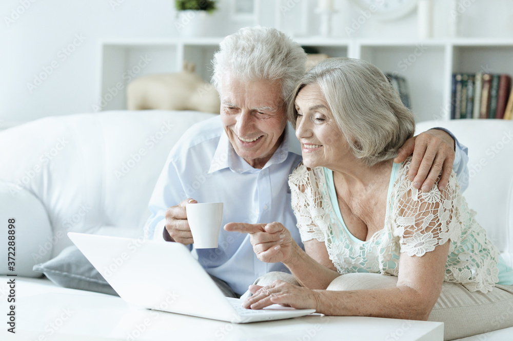 Happy senior couple with laptop at home Happy senior couple with laptop at home