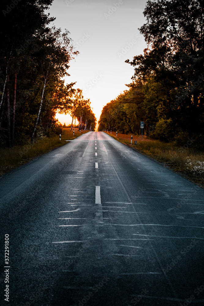 Empty road in the nature with colorful sunset evening light Empty road in the nature with colorful sunset evening light