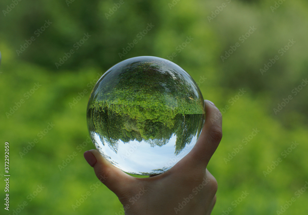 A transparent glass ball turned the view of a clearing by the forest on a summer day