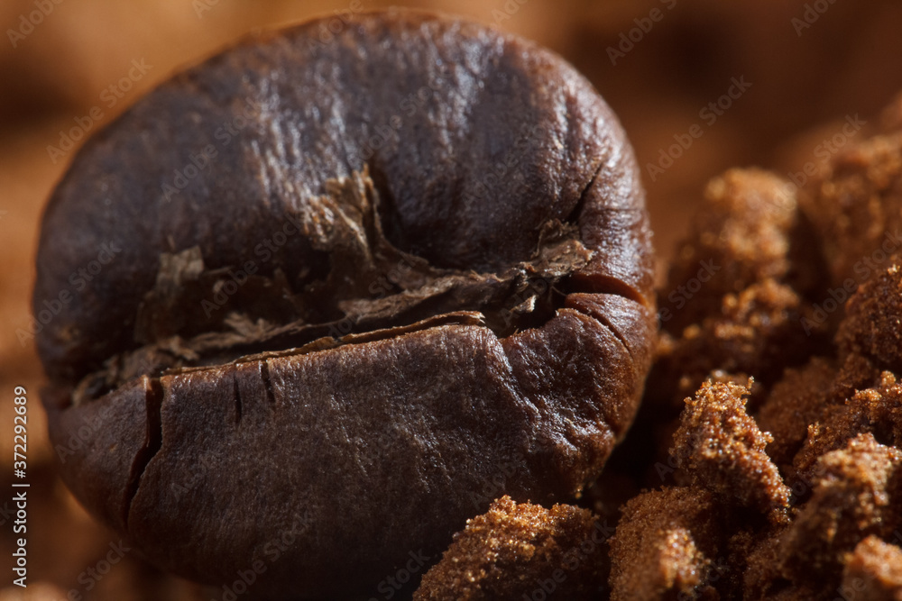 Obraz premium coffee beans macro