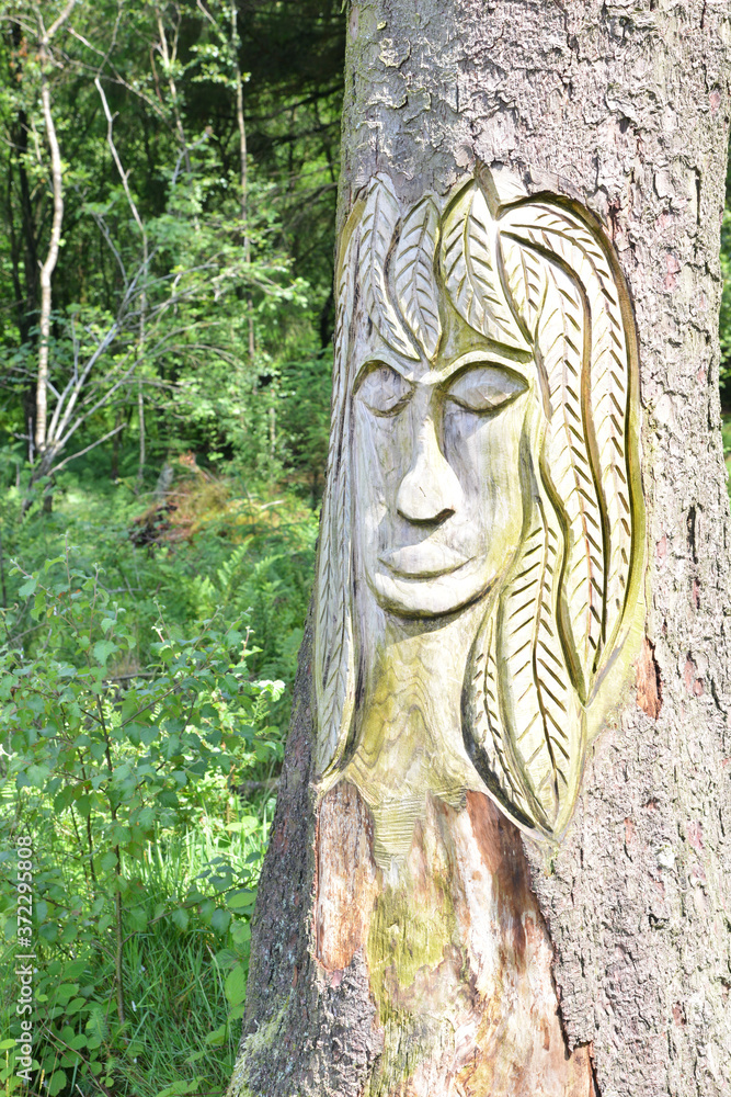 Womans face, Beacon Fell, Lancashire, England, UK Womans face, Beacon Fell, Lancashire, England, UK
