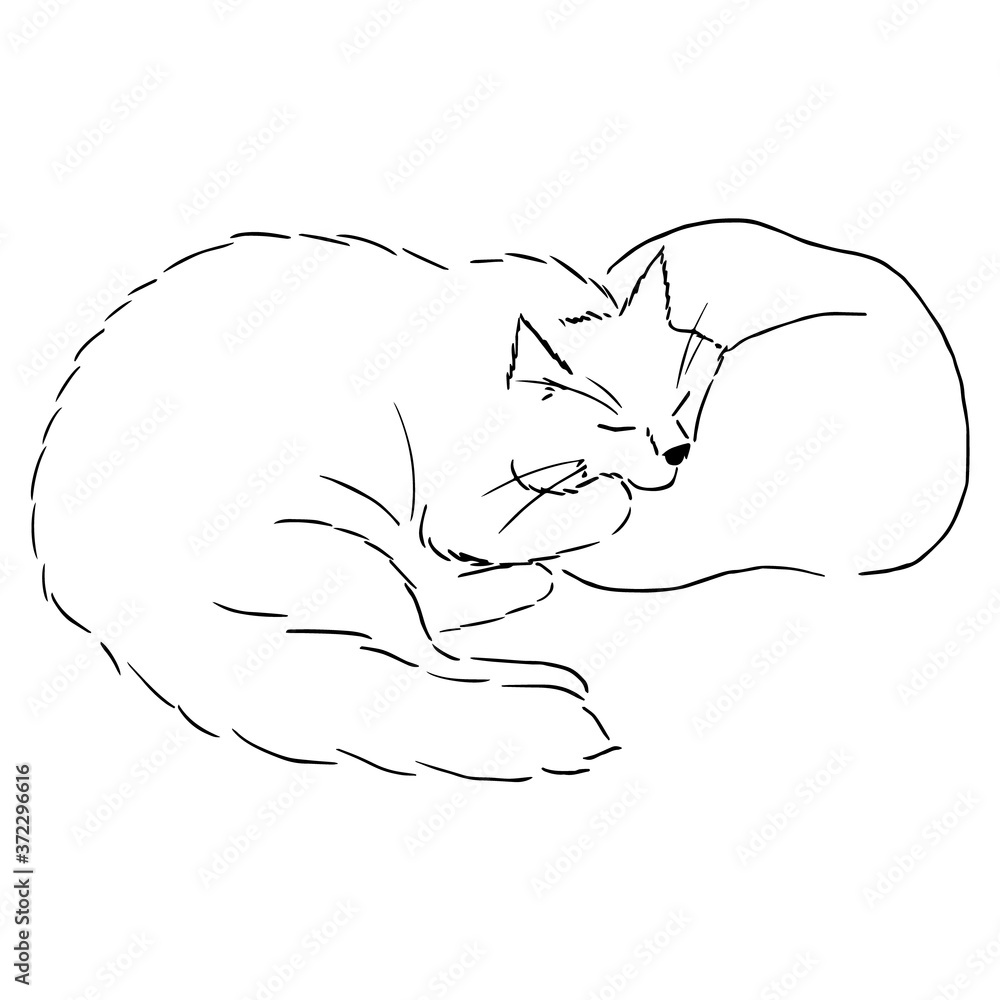Drawing of a cute sleeping cat lying with its cheek on the pillow ...