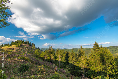 Wide angle view of deforastated area in the Carpathian mountains, Transylvania, Romania.