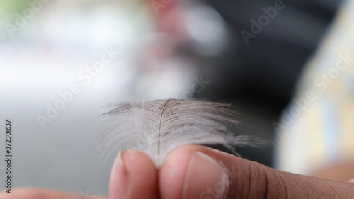 hand with a feather