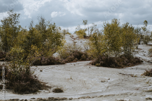 Wallpaper Mural la nature reprend le dessus à l'ancien mine d'abbaretz Torontodigital.ca