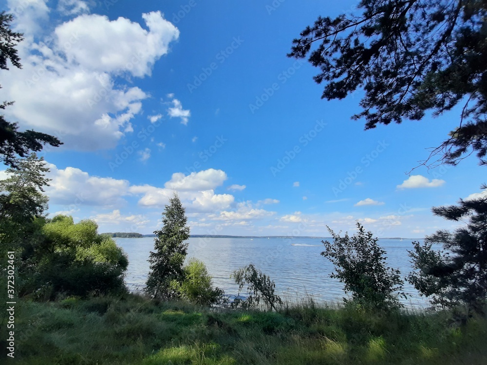 Baltic landscape with forest and lake shore Baltic landscape with forest and lake shore