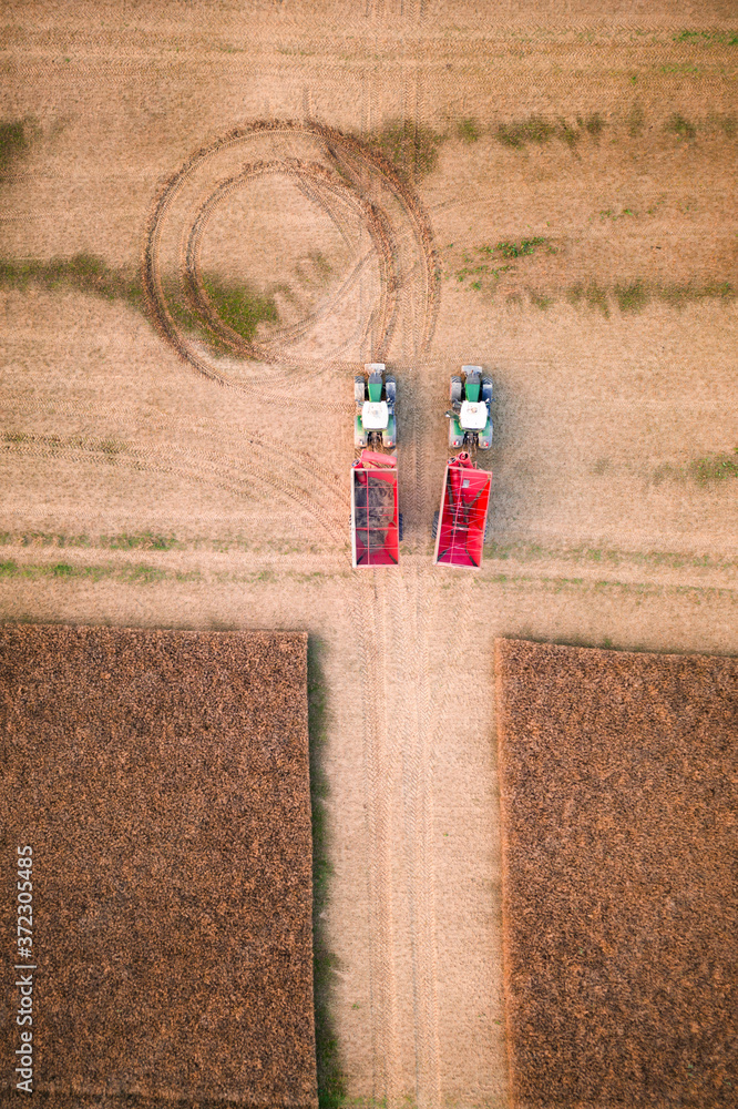 Obraz premium Two red tractors in a wheat field during the harvest while waiting for the combine. Aerial top view